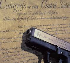 Annotated bibliography gun control stats